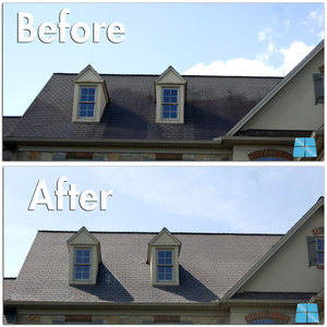 roof cleaning before after